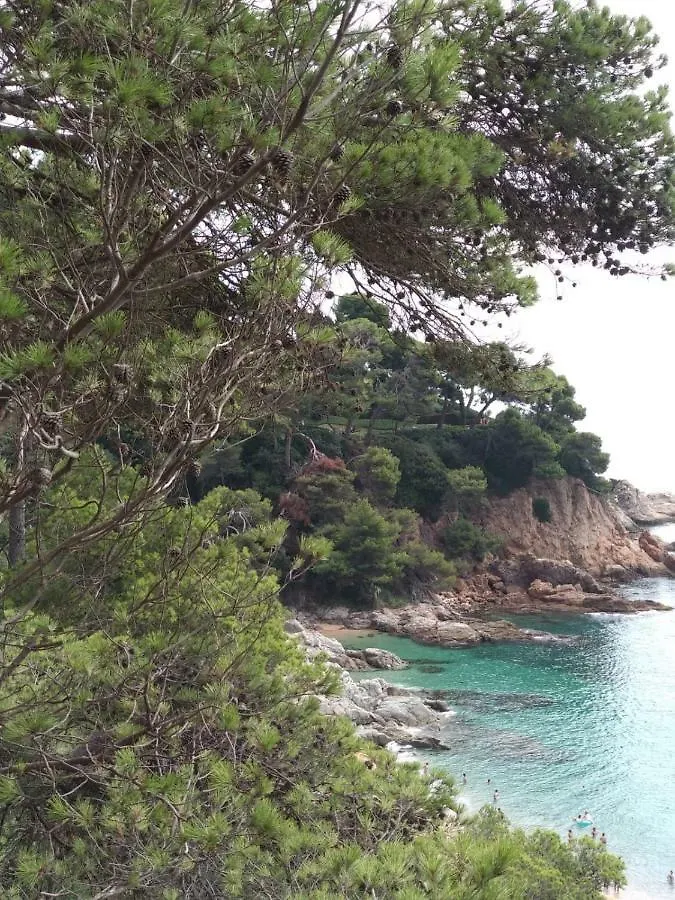 Апартаменты Cala Salions, Chalana I Жирона